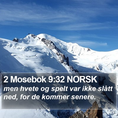 2 Mosebok 9:32 NORSK Bible Verse Image