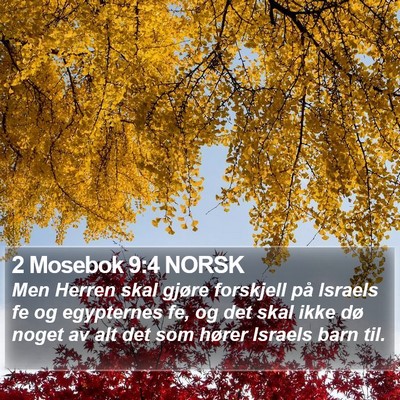 2 Mosebok 9:4 NORSK Bible Verse Image