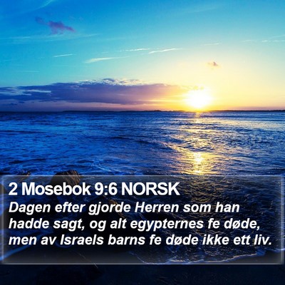 2 Mosebok 9:6 NORSK Bible Verse Image