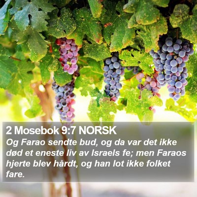 2 Mosebok 9:7 NORSK Bible Verse Image
