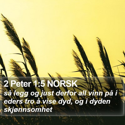2 Peter 1:5 NORSK Bible Verse Image