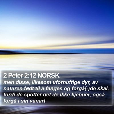 2 Peter 2:12 NORSK Bible Verse Image