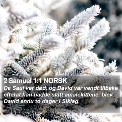 2 Samuel 1:1 NORSK Bible Verse Image