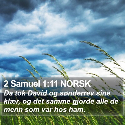 2 Samuel 1:11 NORSK Bible Verse Image