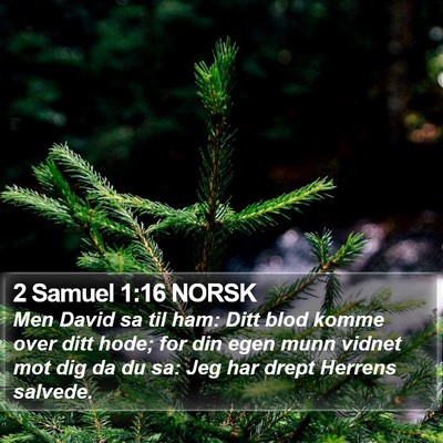 2 Samuel 1:16 NORSK Bible Verse Image