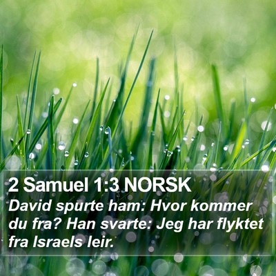 2 Samuel 1:3 NORSK Bible Verse Image