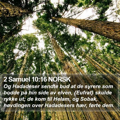 2 Samuel 10:16 NORSK Bible Verse Image