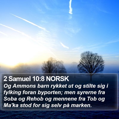 2 Samuel 10:8 NORSK Bible Verse Image