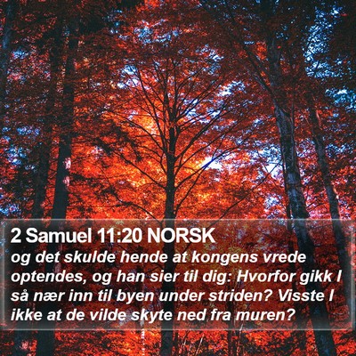 2 Samuel 11:20 NORSK Bible Verse Image