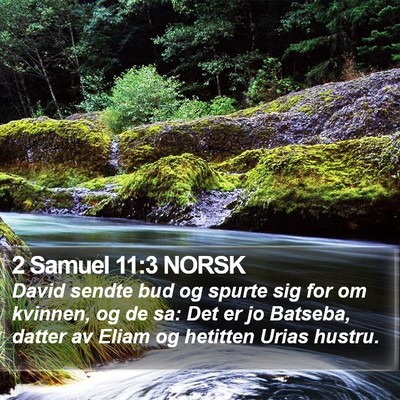 2 Samuel 11:3 NORSK Bible Verse Image