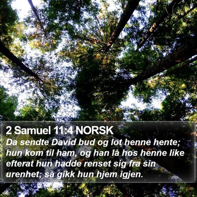 2 Samuel 11:4 NORSK Bible Verse Image