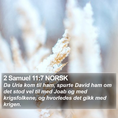 2 Samuel 11:7 NORSK Bible Verse Image
