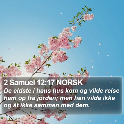 2 Samuel 12:17 NORSK Bible Verse Image
