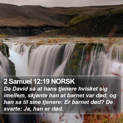 2 Samuel 12:19 NORSK Bible Verse Image