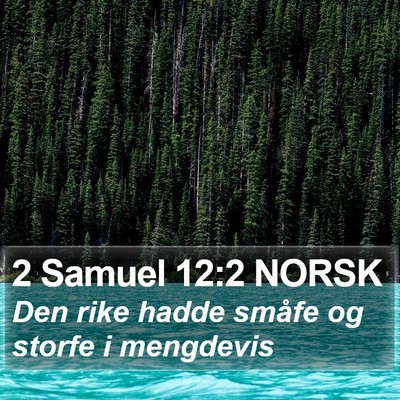 2 Samuel 12:2 NORSK Bible Verse Image