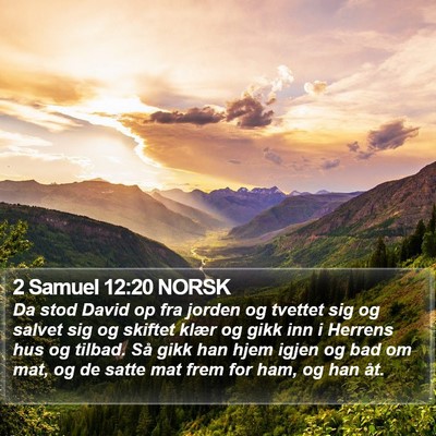 2 Samuel 12:20 NORSK Bible Verse Image