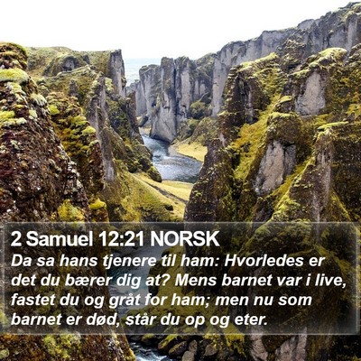 2 Samuel 12:21 NORSK Bible Verse Image