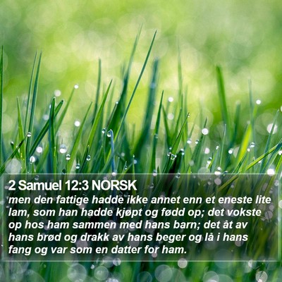 2 Samuel 12:3 NORSK Bible Verse Image
