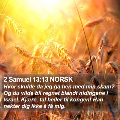 2 Samuel 13:13 NORSK Bible Verse Image