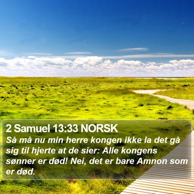 2 Samuel 13:33 NORSK Bible Verse Image