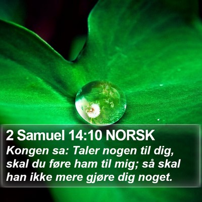 2 Samuel 14:10 NORSK Bible Verse Image