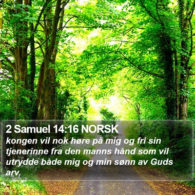 2 Samuel 14:16 NORSK Bible Verse Image