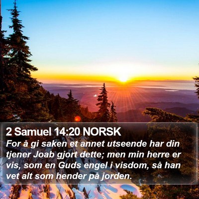 2 Samuel 14:20 NORSK Bible Verse Image