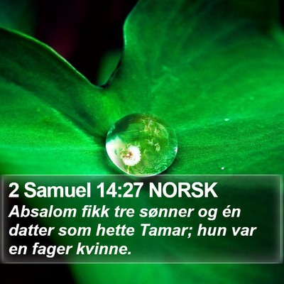 2 Samuel 14:27 NORSK Bible Verse Image