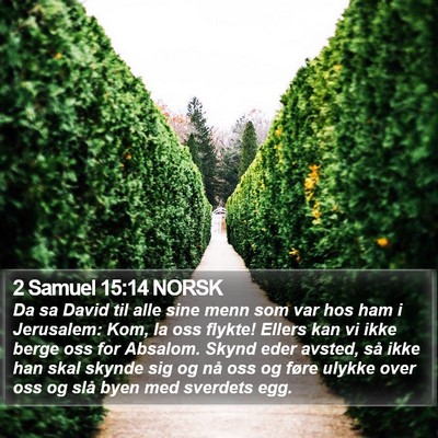 2 Samuel 15:14 NORSK Bible Verse Image
