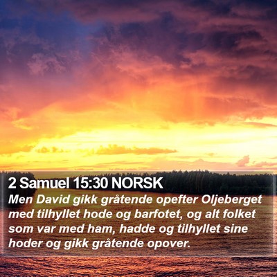 2 Samuel 15:30 NORSK Bible Verse Image
