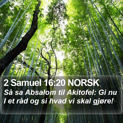 2 Samuel 16:20 NORSK Bible Verse Image