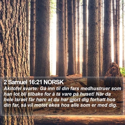 2 Samuel 16:21 NORSK Bible Verse Image