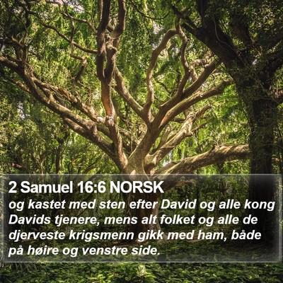 2 Samuel 16:6 NORSK Bible Verse Image