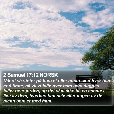 2 Samuel 17:12 NORSK Bible Verse Image