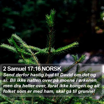 2 Samuel 17:16 NORSK Bible Verse Image
