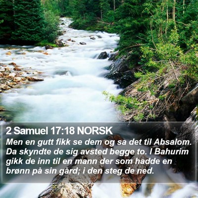 2 Samuel 17:18 NORSK Bible Verse Image