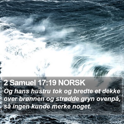 2 Samuel 17:19 NORSK Bible Verse Image