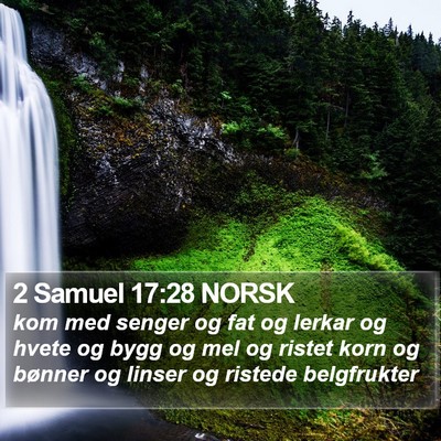 2 Samuel 17:28 NORSK Bible Verse Image