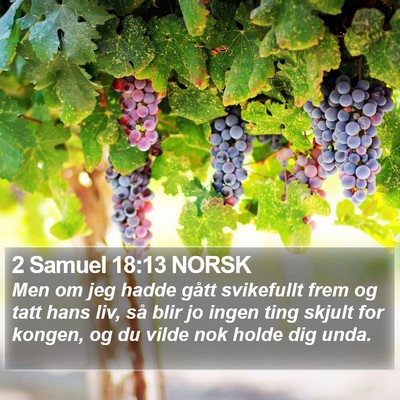 2 Samuel 18:13 NORSK Bible Verse Image