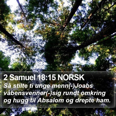 2 Samuel 18:15 NORSK Bible Verse Image