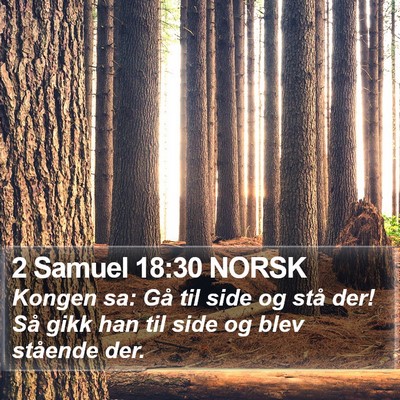 2 Samuel 18:30 NORSK Bible Verse Image