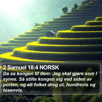 2 Samuel 18:4 NORSK Bible Verse Image