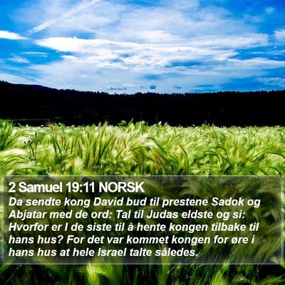 2 Samuel 19:11 NORSK Bible Verse Image