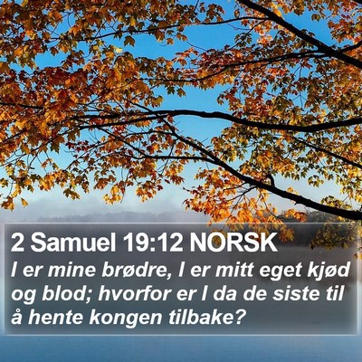 2 Samuel 19:12 NORSK Bible Verse Image