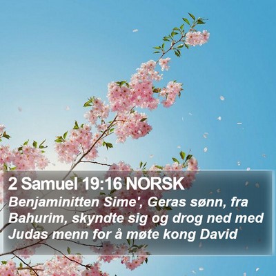 2 Samuel 19:16 NORSK Bible Verse Image