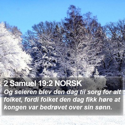 2 Samuel 19:2 NORSK Bible Verse Image