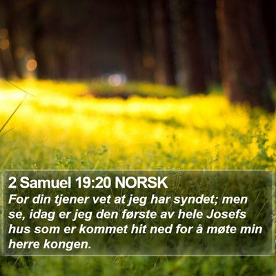 2 Samuel 19:20 NORSK Bible Verse Image