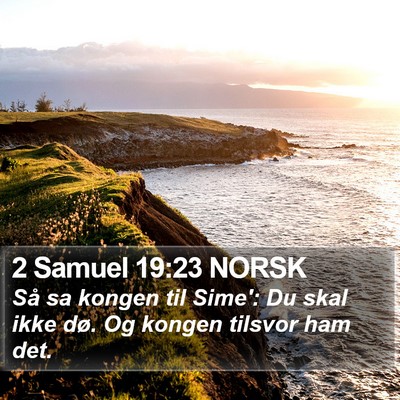 2 Samuel 19:23 NORSK Bible Verse Image