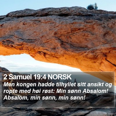 2 Samuel 19:4 NORSK Bible Verse Image