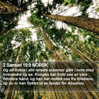 2 Samuel 19:9 NORSK Bible Verse Image